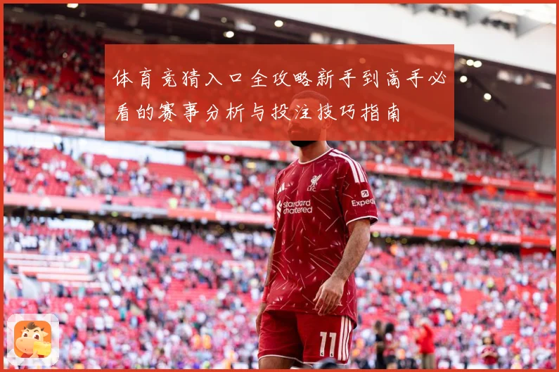 体育竞猜入口全攻略新手到高手必看的赛事分析与投注技巧指南