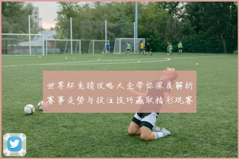 世界杯竞猜攻略大全带你深度解析赛事走势与投注技巧赢取精彩观赛体验