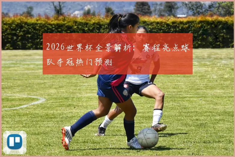 2026世界杯全景解析：赛程亮点球队夺冠热门预测