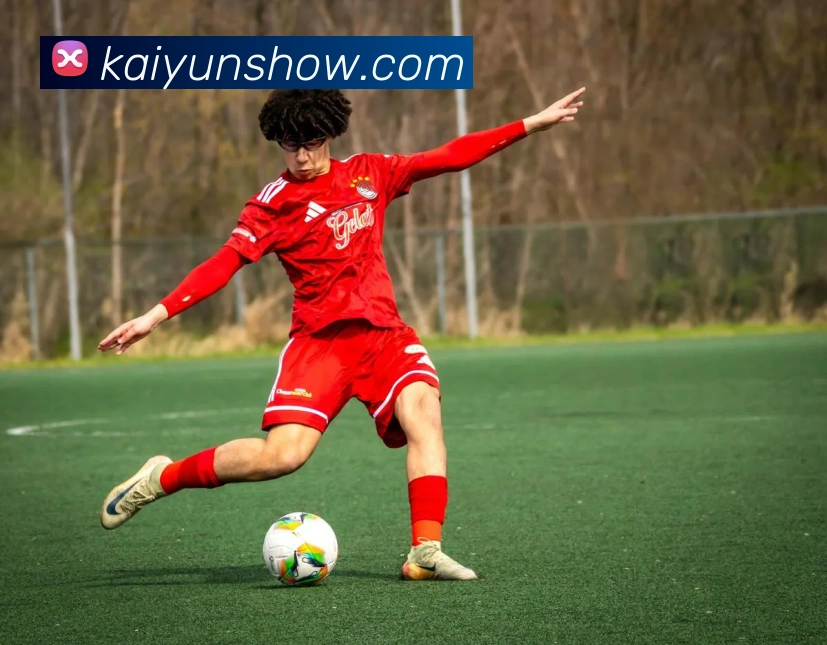 开云娱乐全站App